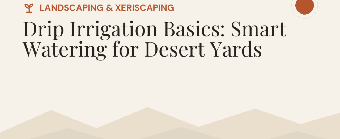 Drip Irrigation Basics: Smart Watering for Desert Yards